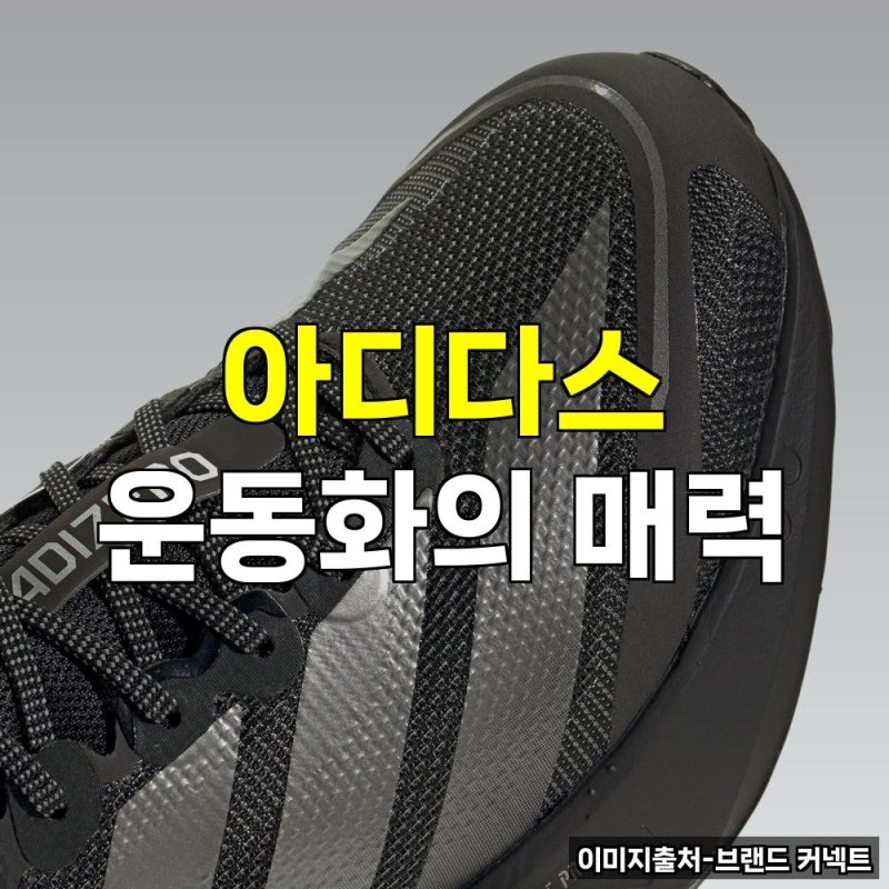 아디다스 운동화 다이얼 쇼핑몰 찍찍이 여성