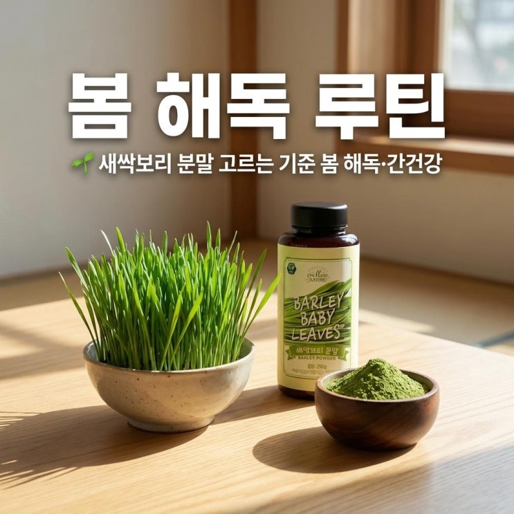   새싹보리 분말 고르는 기준 | 봄 해독·간건강