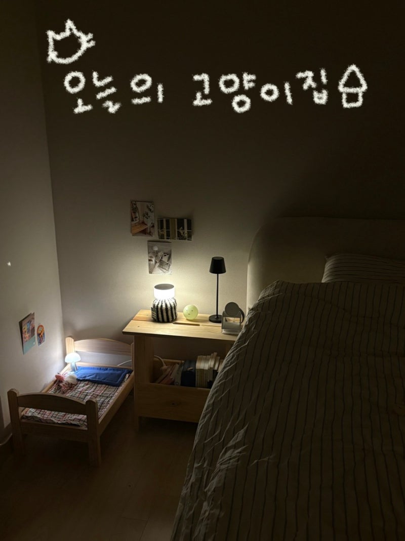 [유댕의 집] 고양이 침대 꾸미기 / 이케아 둑티그 인형침대 조립 방법 후기