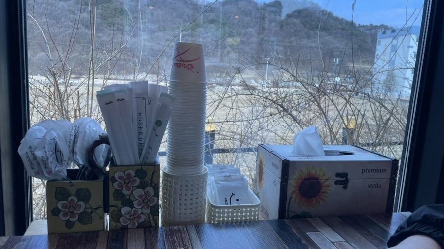 바오밥 사진 4