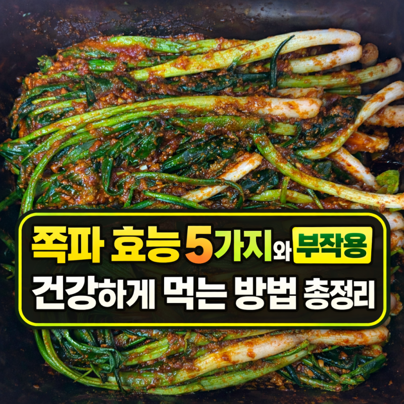 쪽파 효능 5가지와 부작용, 건강하게 먹는 방법 총정리