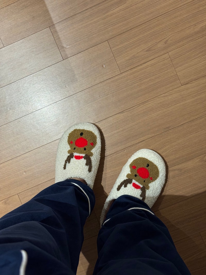 겨울철 실내 슬리퍼 버리는 법, 털 슬리퍼 분리수거 될까?
