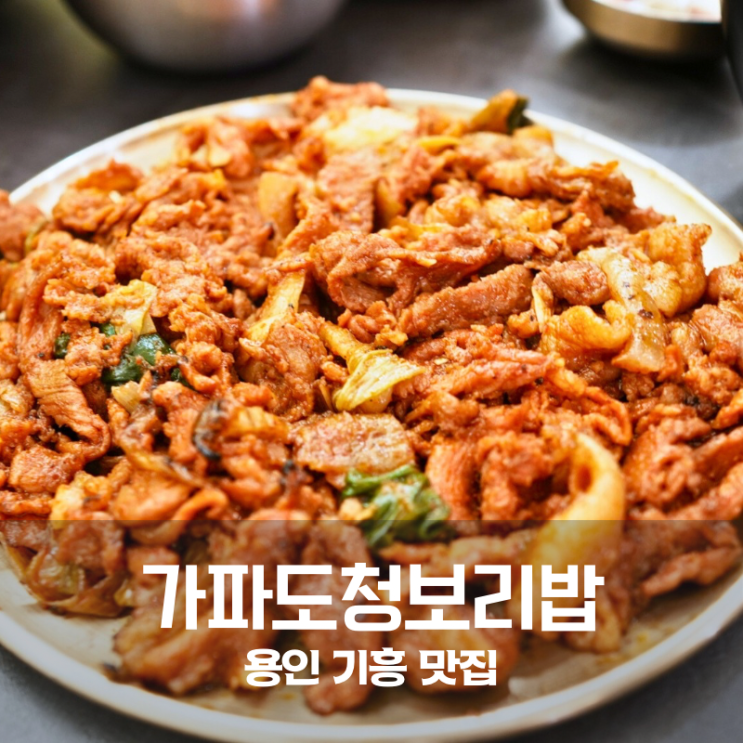  용인 기흥 맛집 가파도청보리밥 연탄제육 고등어 구이 정식 한식집