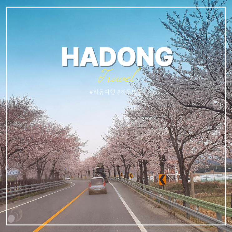  하동 십리벚꽃길 하동송림공원 녹차밭 벚꽃축제 일정