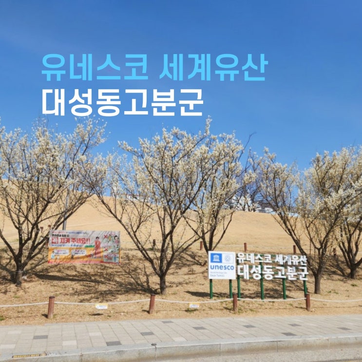  유네스코 세계유산인 김해 대성동고분군부터 박물관까지