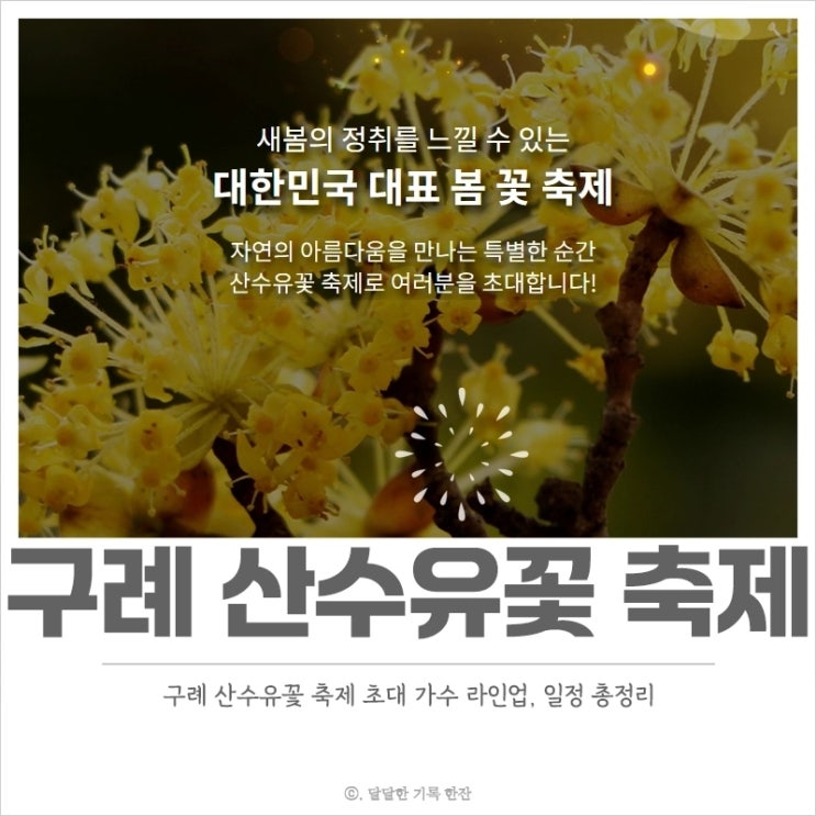  구례 산수유꽃 축제 초대 가수, 일정, 프로그램 한국 대표 봄 꽃 축제