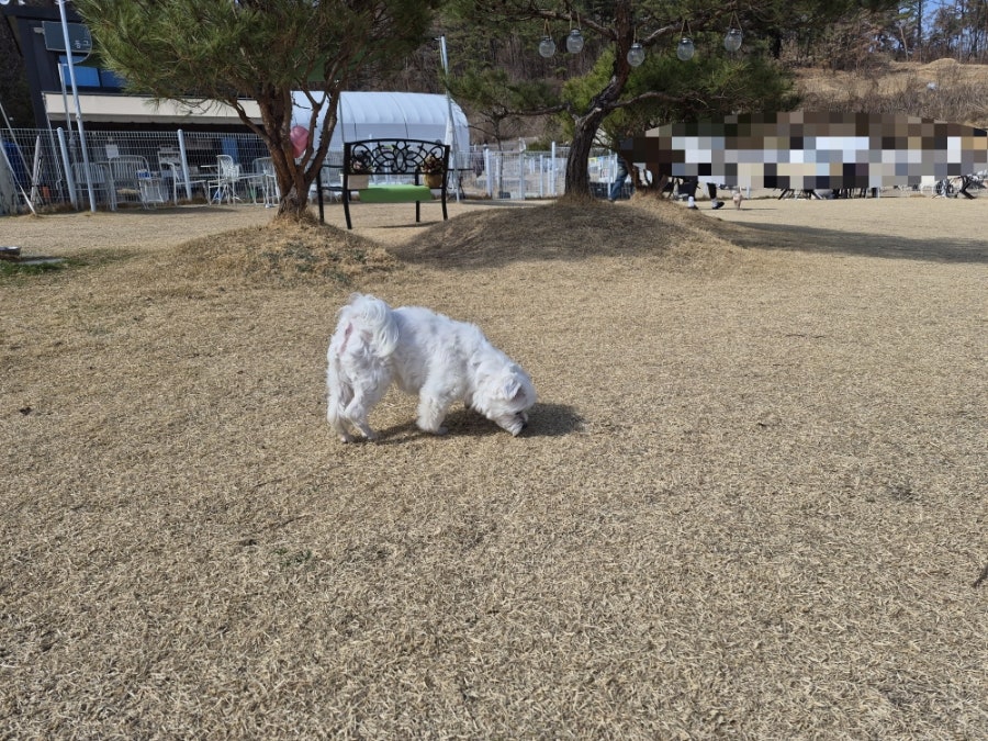 동그라운드 사진 4