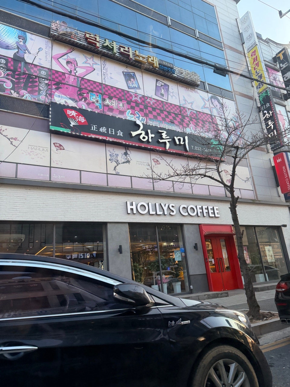하루미 사진 2