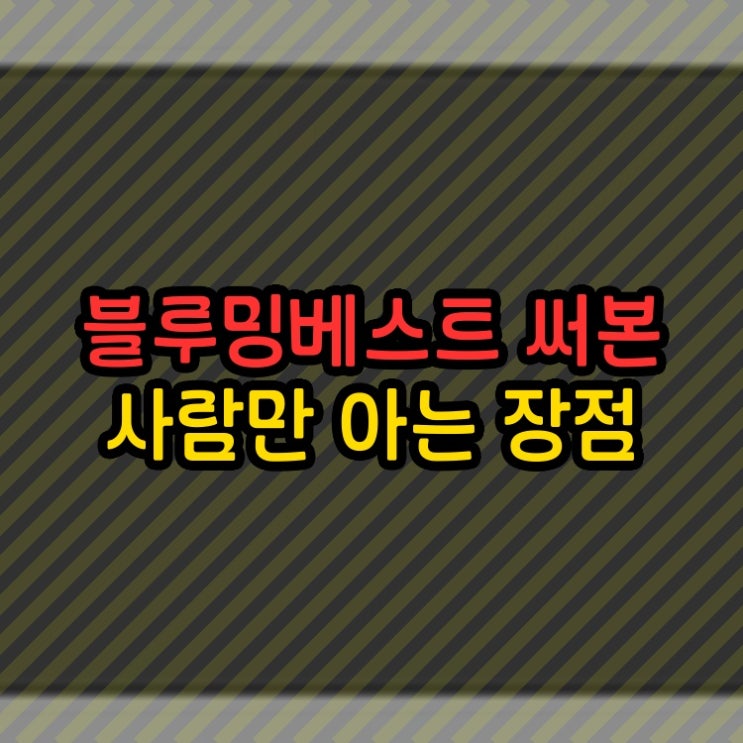  블루밍베스트 써본 사람만 아는 장점 비데가 아직도 없다면...