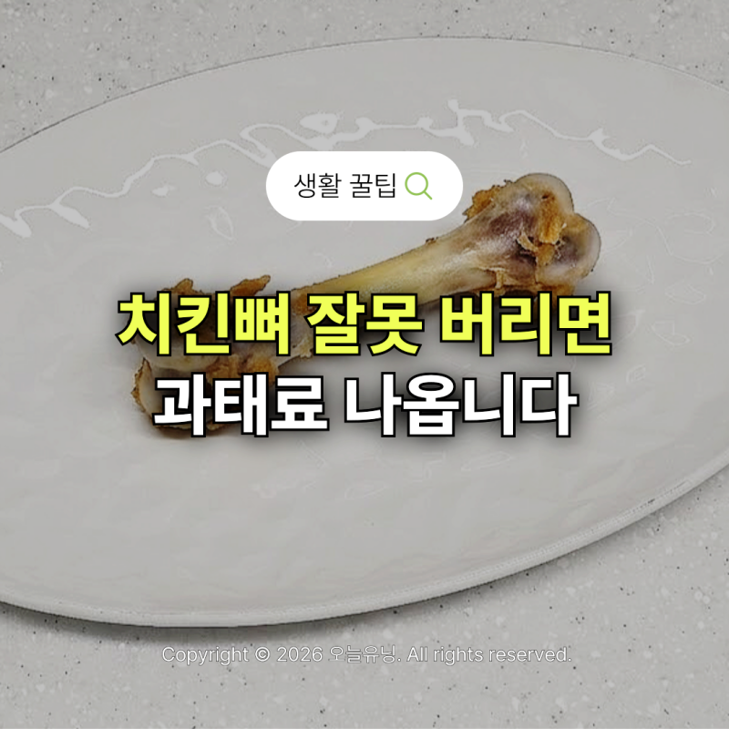 치킨뼈 분리수거 딱 1분 만에 완벽 정리 깔끔하게 버리는 방법
