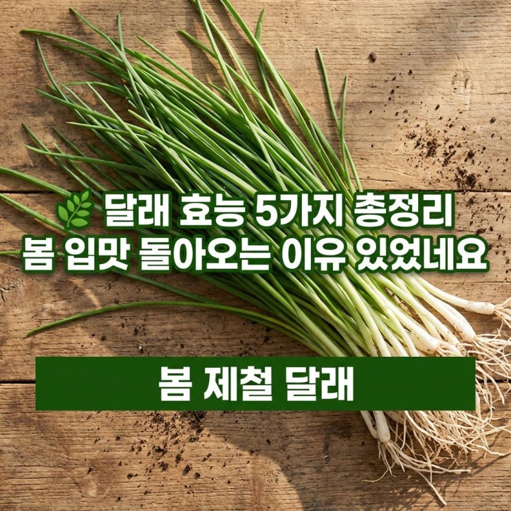   달래 효능 5가지 총정리 | 봄 입맛 돌아오는 이유 있었네요