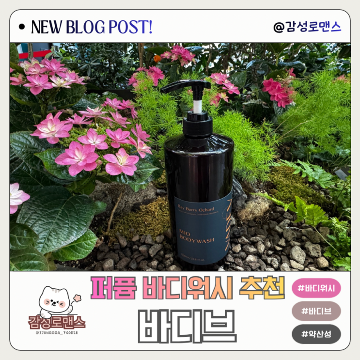  여드름 기능성 바디브 미오 퍼퓸 바디워시 추천 은은한 잔향으로 오래 지속 상쾌해요
