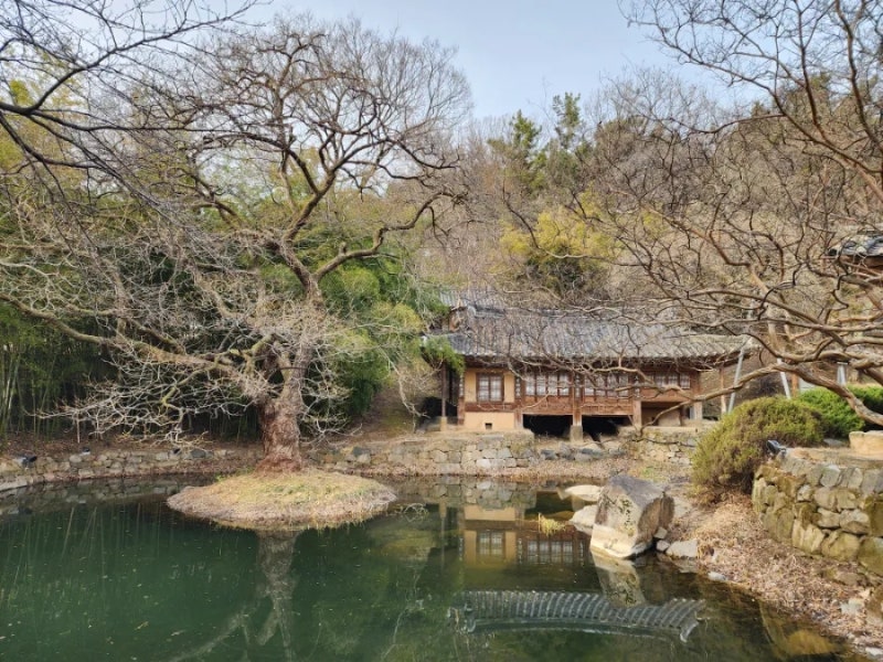 사진 10