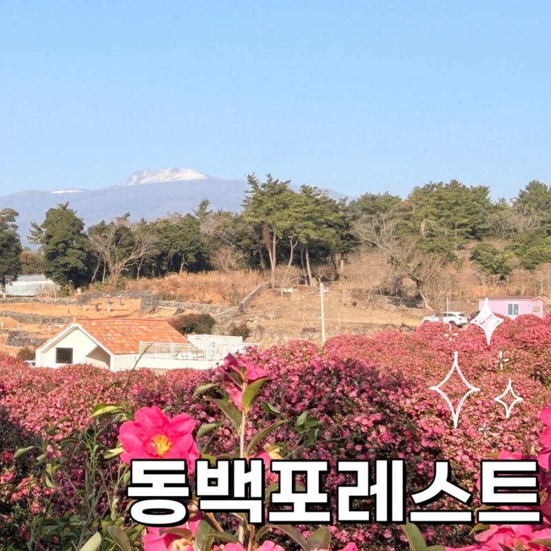 사진 3
