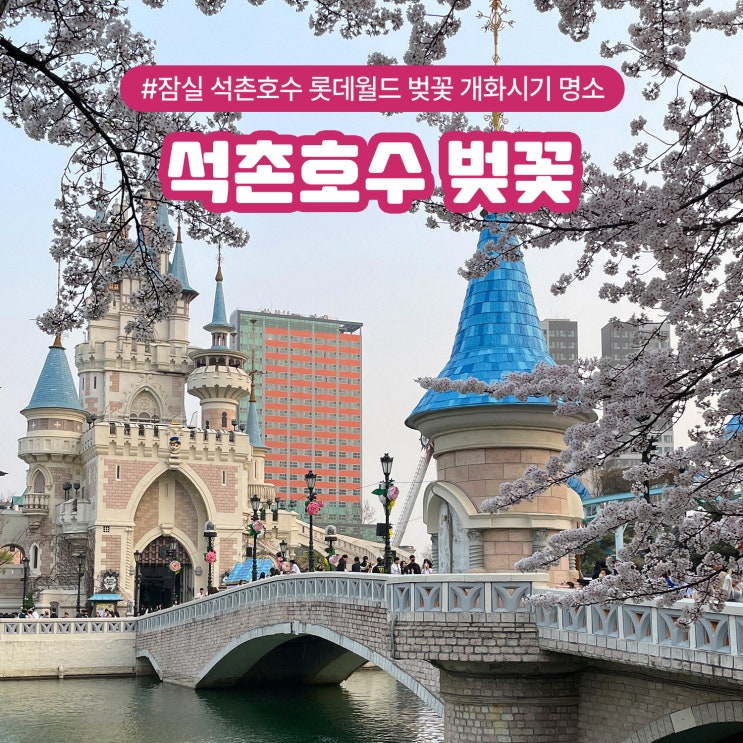  잠실 석촌호수 롯데월드 벚꽃 개화시기 명소