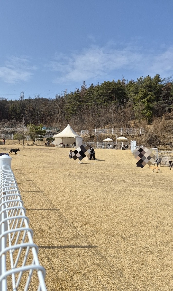 동그라운드 사진