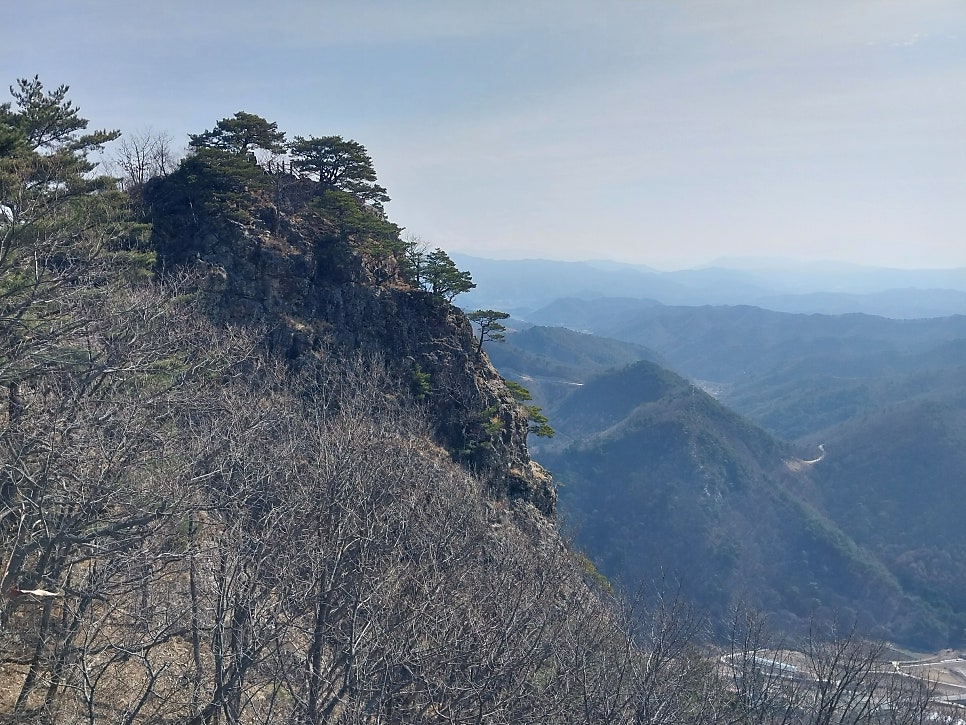 연화제 사진 4