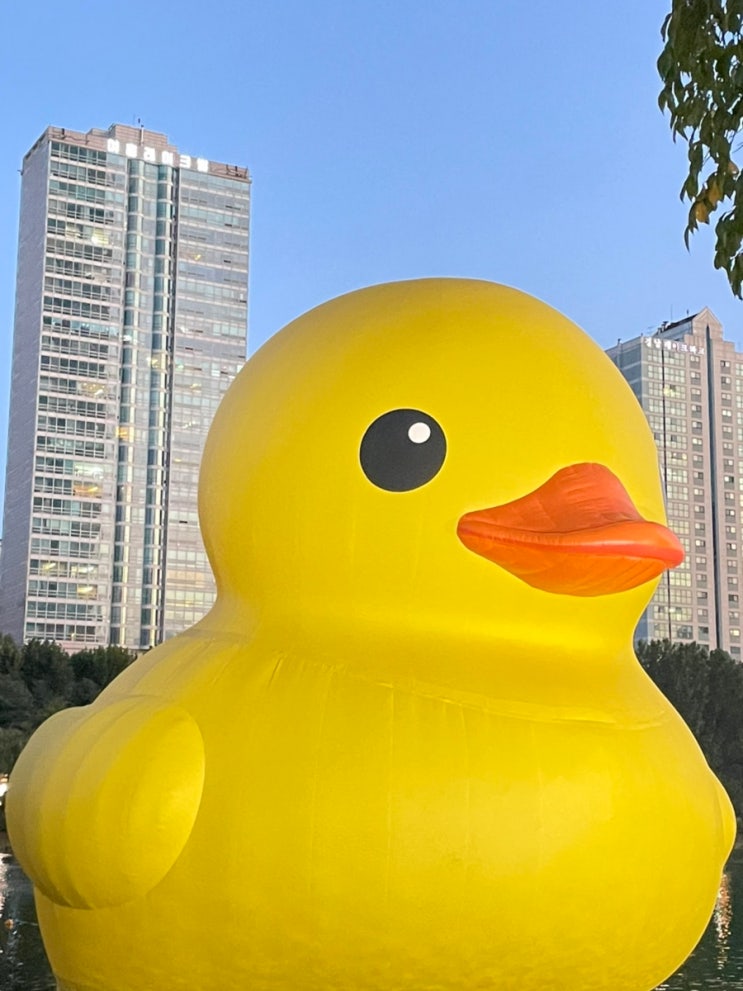  2022년의 끝자락