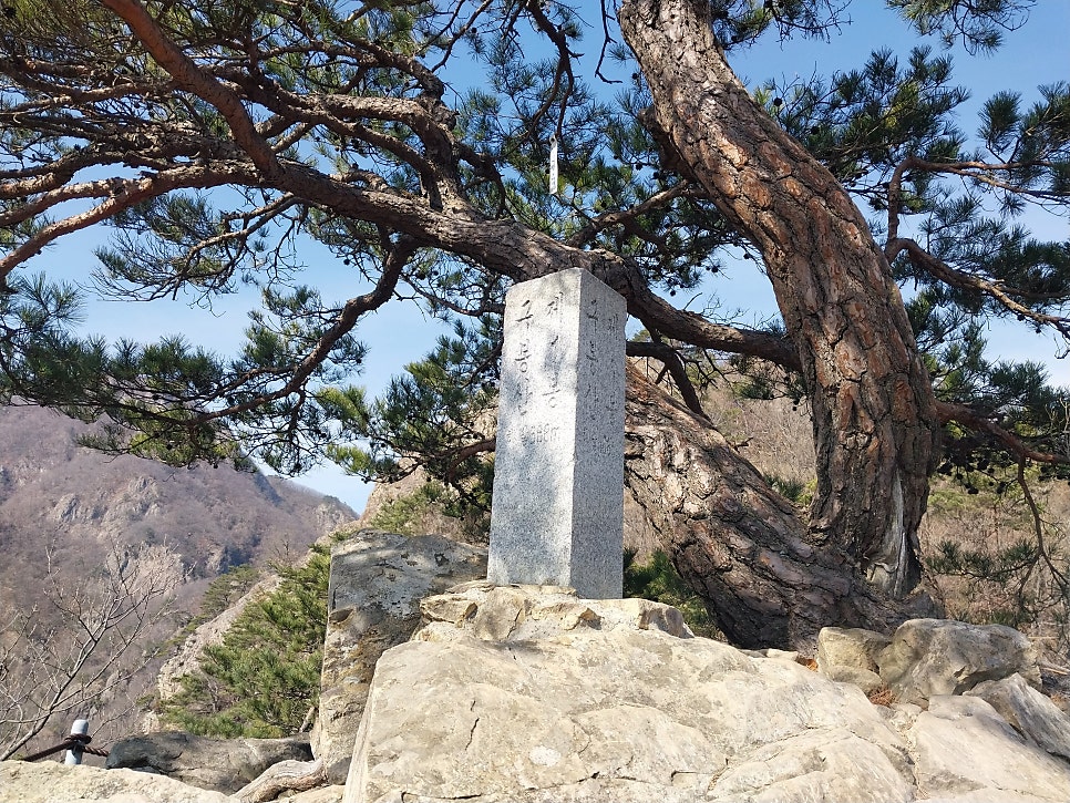 연화제 사진 5