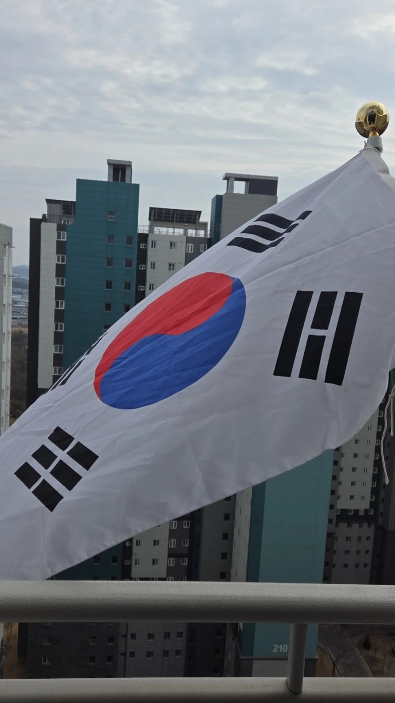 사진 3