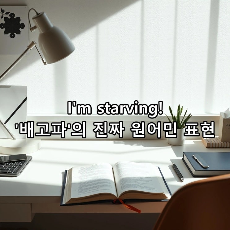  'Better late than never' 뜻: 안 하는 것보다 늦게라도 하는 게 낫다? 원어민이 입에 달고 사는 필수 생활 영어 3가지