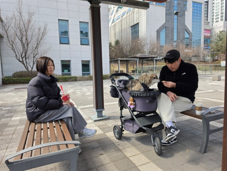  핑크장갑을 낀 강아지 할미의 은밀한 취미생활