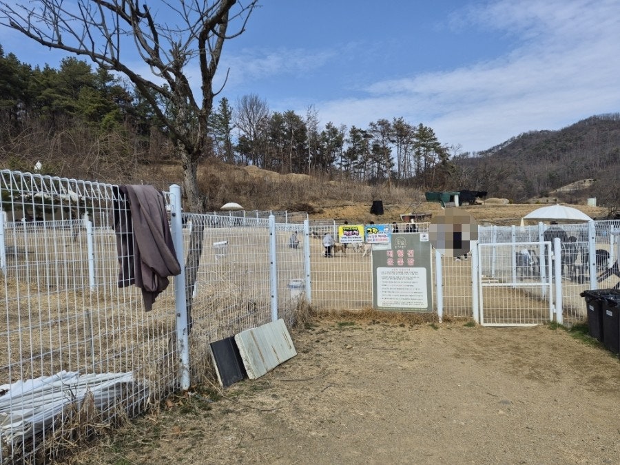 동그라운드 사진 2