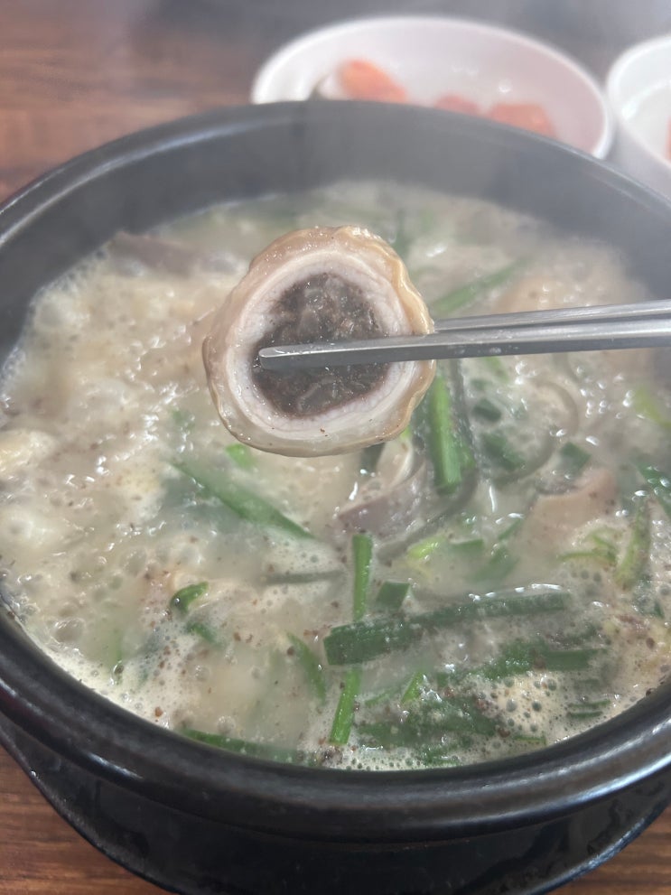  안암오거리 고려대학교 학생들 해장 순대국밥맛집 <장터막창순대국밥>