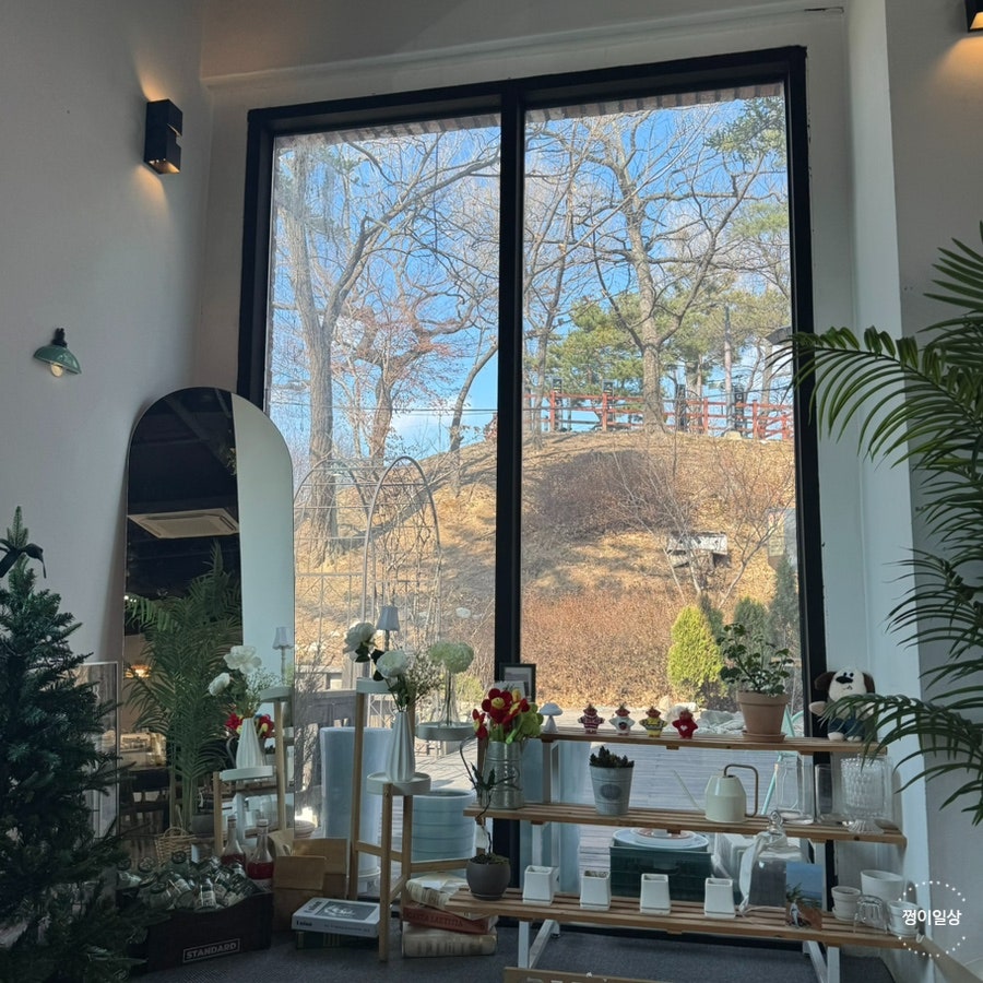 수도사니아 사진 6