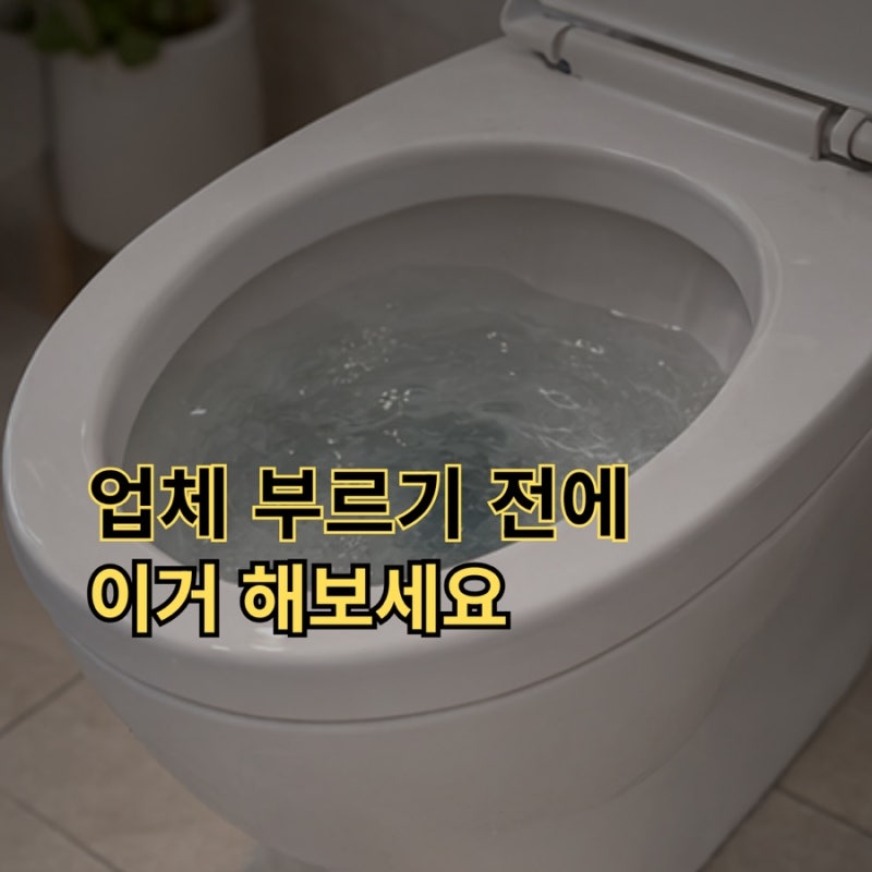 변기 막혔을때 업체 부르기 전에 이 방법 먼저 해보세요