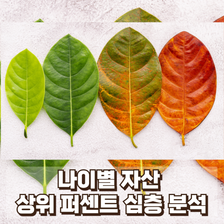 "내 나이대에서 나는 어느 정도 수준인가?" 나이별 자산 상위 퍼센트 심층 분석(한국 자산 계층 구조의 진짜 현실)