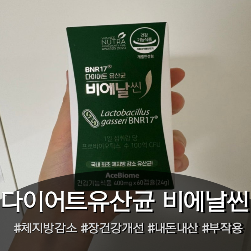 BNR17 다이어트 유산균 비에날씬 : 체지방 감소에 변기를 뿌순다고? 내돈내산 효과 부작용 솔....