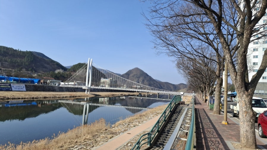 Bokgol photo 3