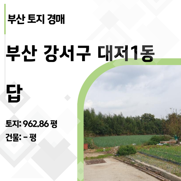  "보증금 몰수 주의!" 2024타경111610 대저동 농지 경매 정밀 분석 리포트