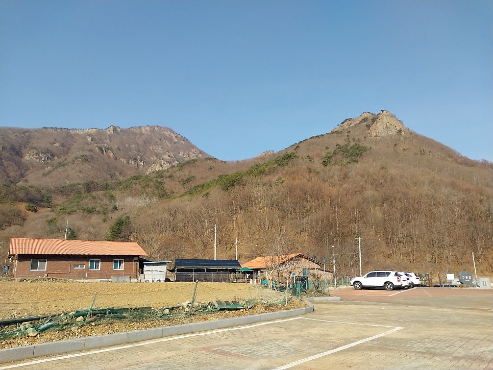 연화제 사진 1