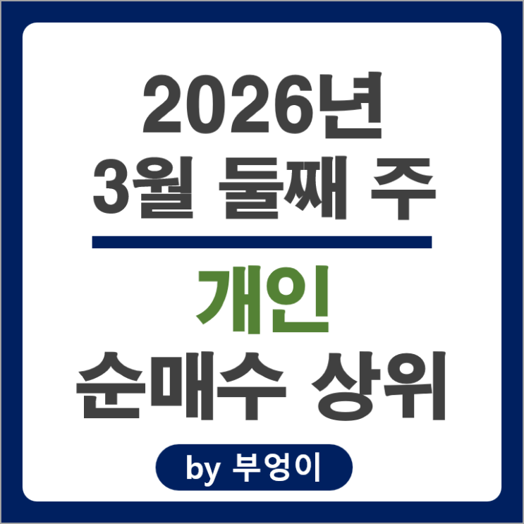  개인 순매수 주식 삼성전자 SK하이닉스 현대자동차 에코프로 주가