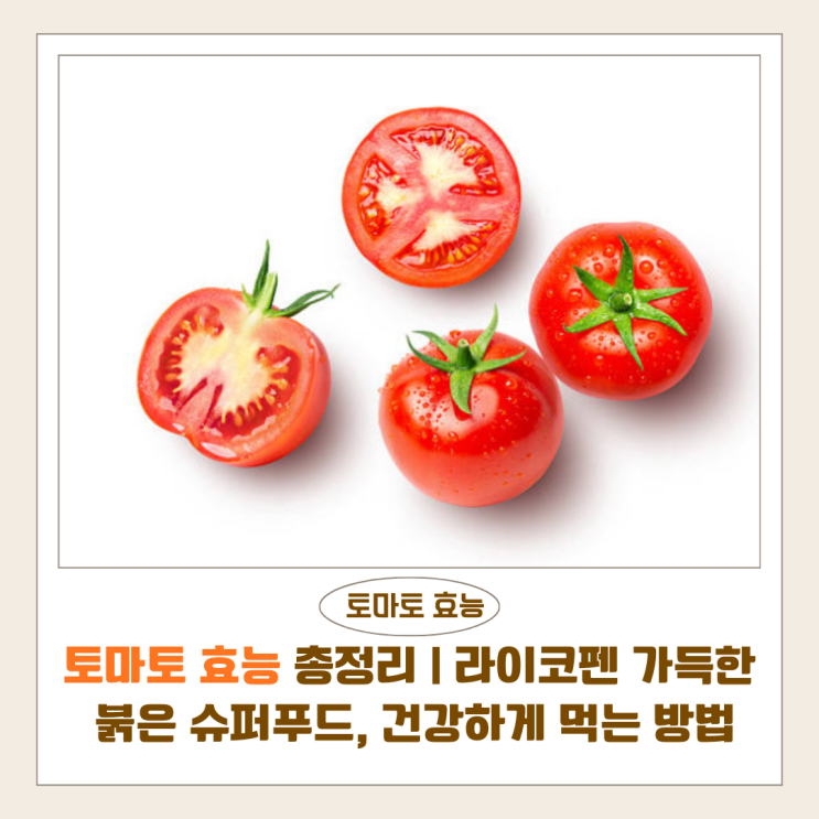  토마토 효능 총정리 | 라이코펜 가득한 붉은 슈퍼푸드, 건강하게 먹는 방법