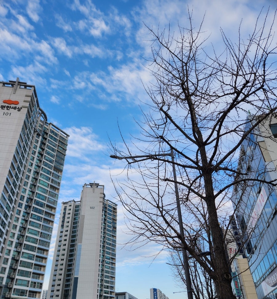 스끄젬므제과 사진 5
