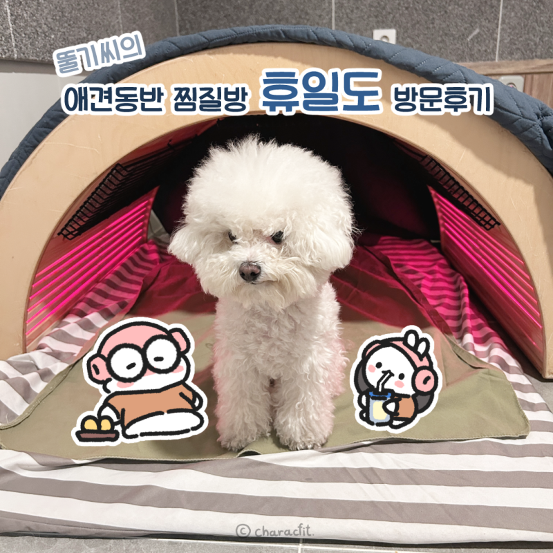 사진 6