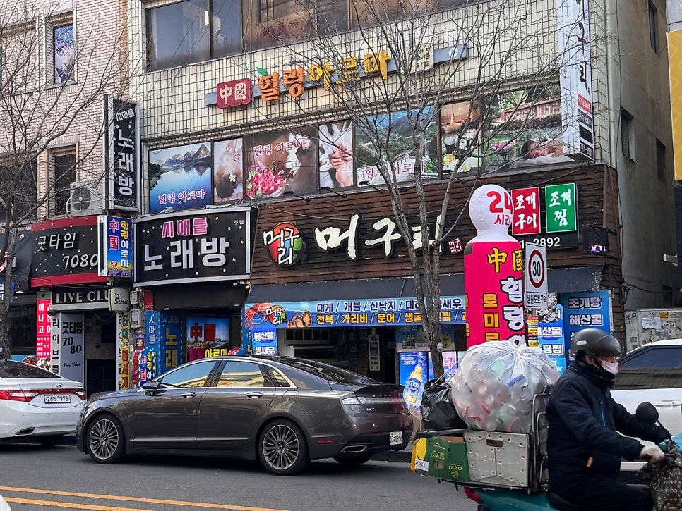 머구리 사진 2