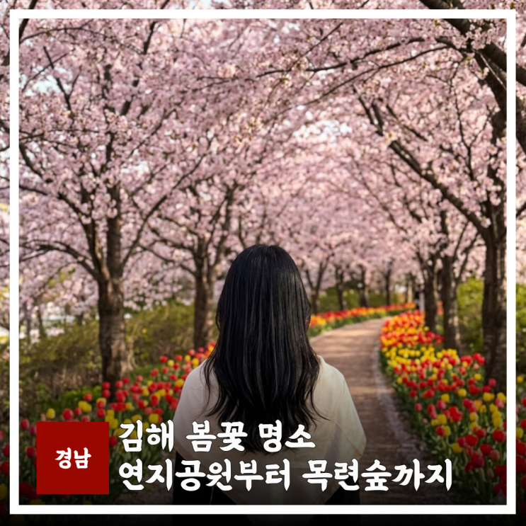  김해 봄꽃 명소 연지공원, 율하천, 목련숲 주차 비교 아이와 가볼만한곳