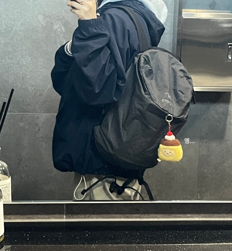아크테릭스 컨실15 백팩 드디어 구하다~