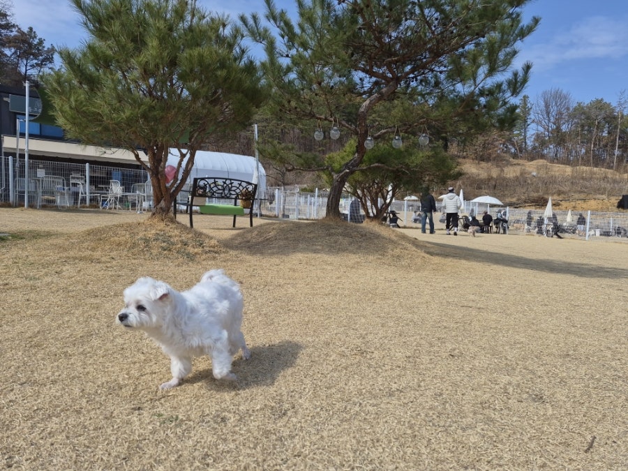 동그라운드 사진 3