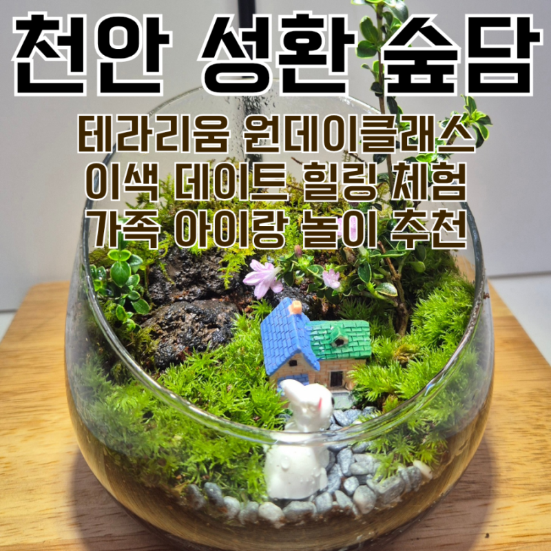 사진 8