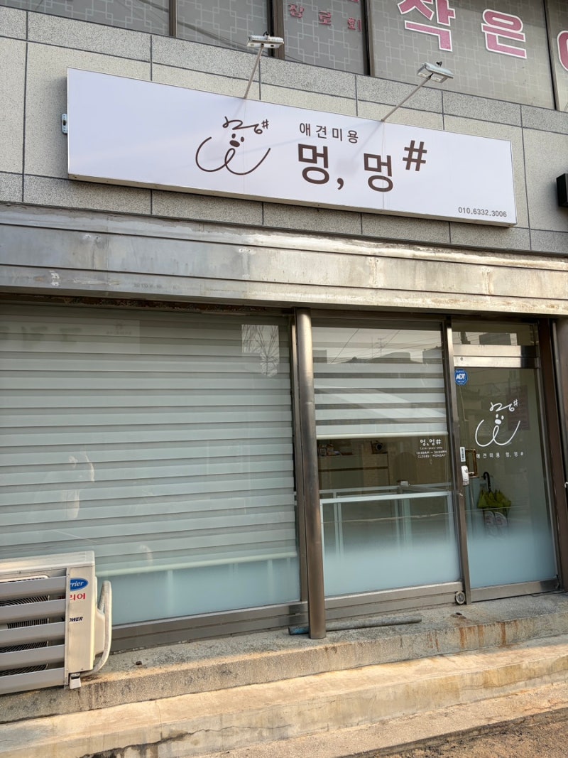 사진 4