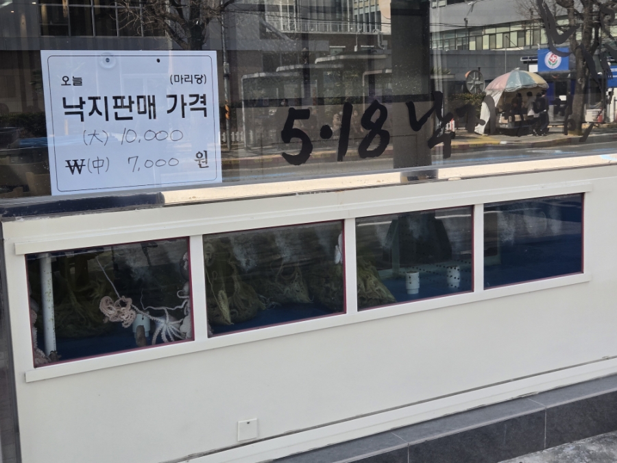 518낙지전문점 사진 2