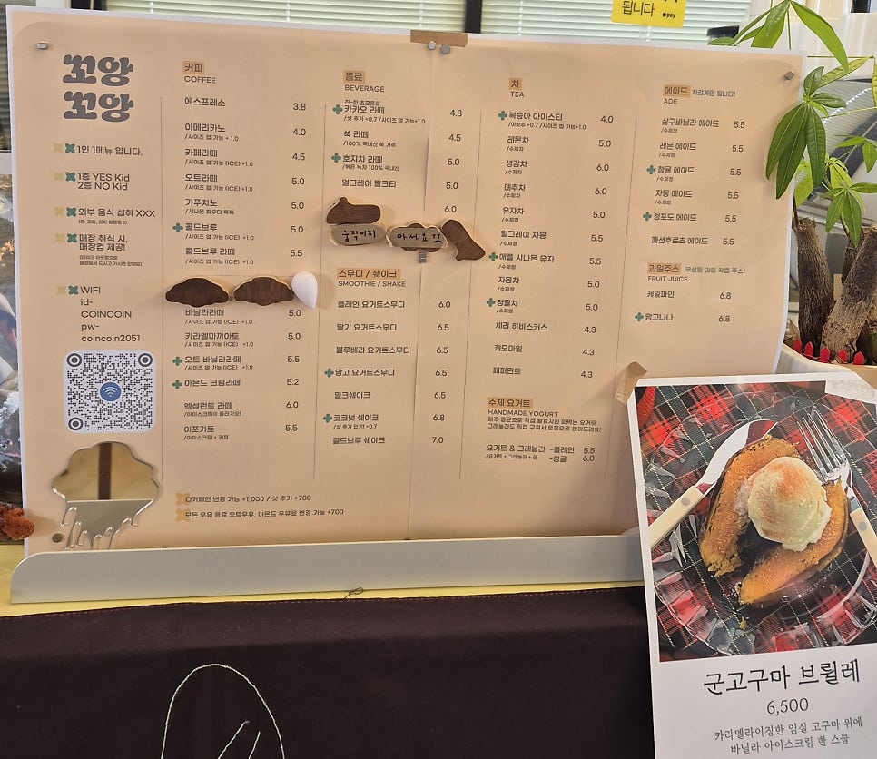 꼬앙꼬앙 사진 4
