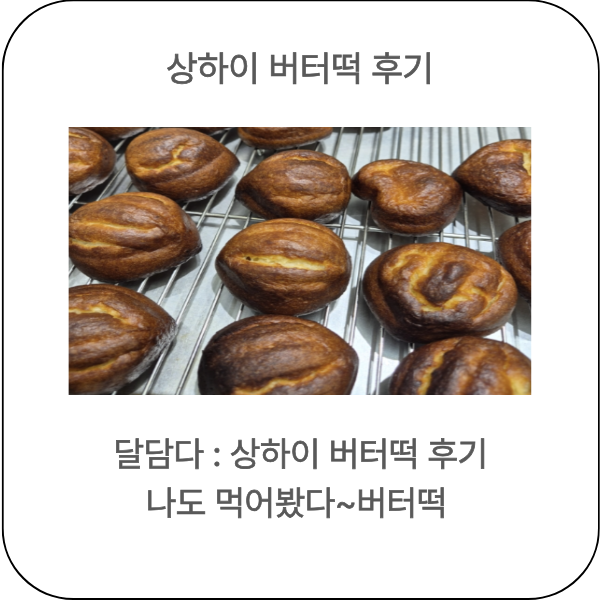 달담다 사진 1