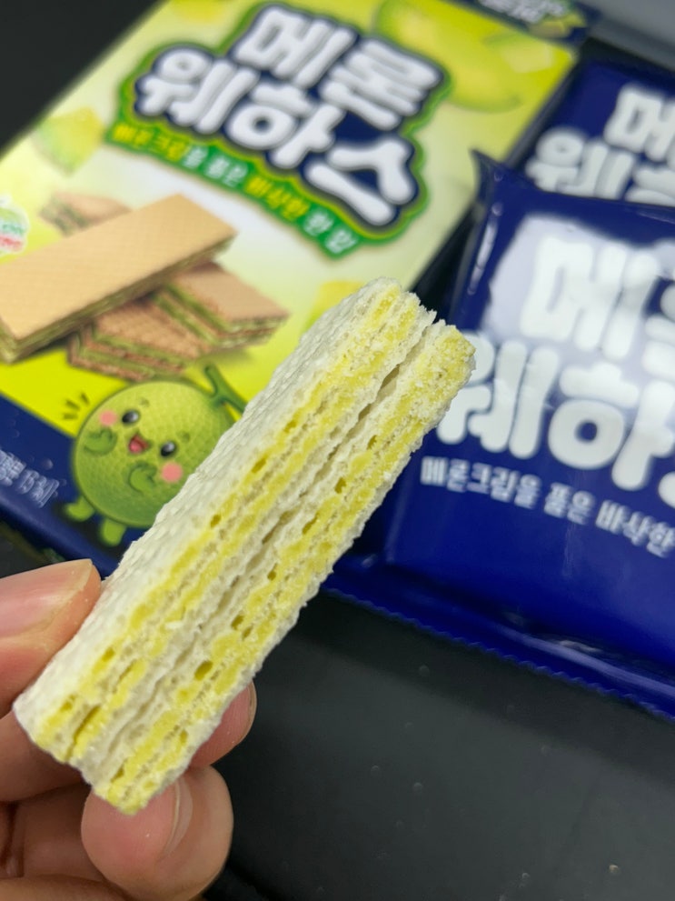  [GS25 편의점] 새로운 웨하스의 등장 <서주 메론웨하스> 후기