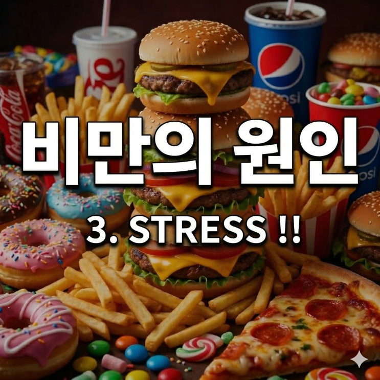  스트레스로 폭식하는 경우에 다이어트 하는 방법은 분당 다이어트 한의원